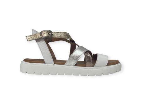 DARLA R - METALLIC MULTI Hot on Sale