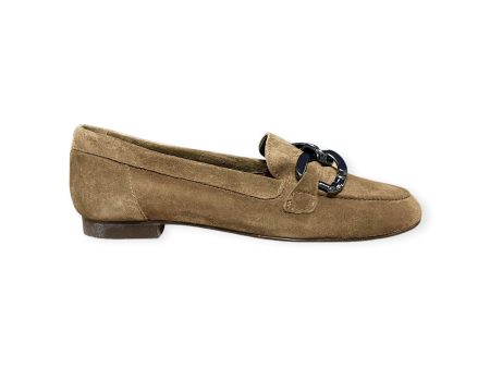 CLASP HAZELNUT SUEDE Discount