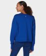 After Class Crop Sweatshirt Sb5622c Lightning-Blue Online now