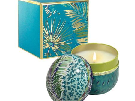 Candle  Jfb206 Coriandre-Lemongrass Sale