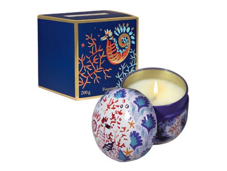 Candle  Jfb202 Menthe-Basilic on Sale